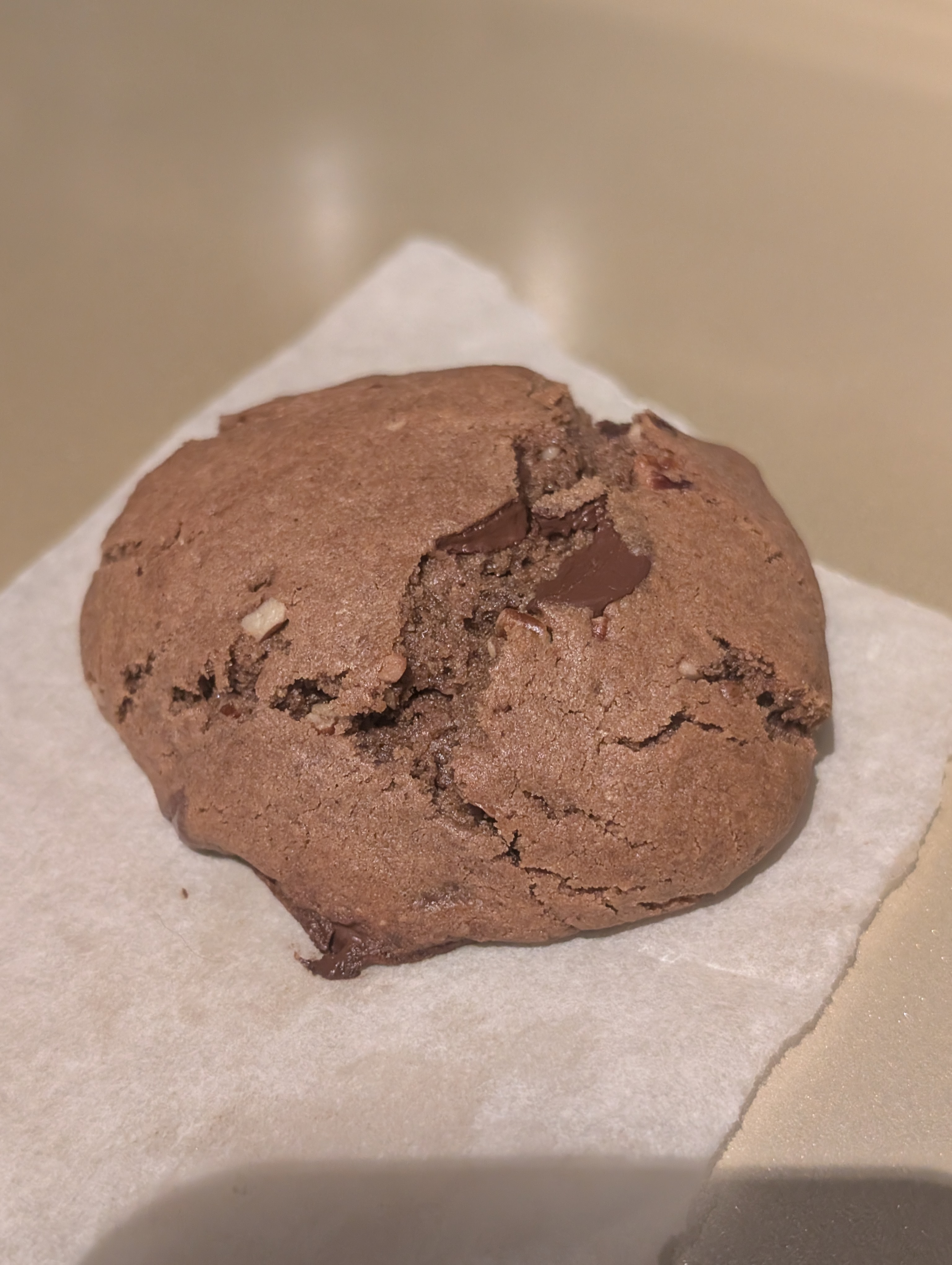 Double Chocolate Chip Cookies